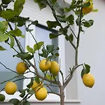 Mhometredici - Vicino Aeroporto Cagliari 3* Sestu